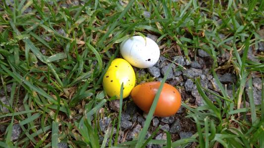 Ką reiškia kiaušinio spalva?