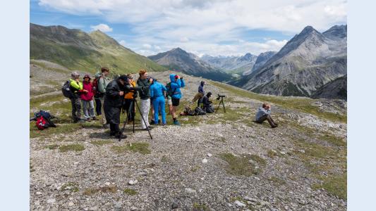 Tarptautinė gamtos tyrimų savaitė Šveicarijoje – galimybė pagilinti tiriamojo darbo žinias unikalioje aplinkoje